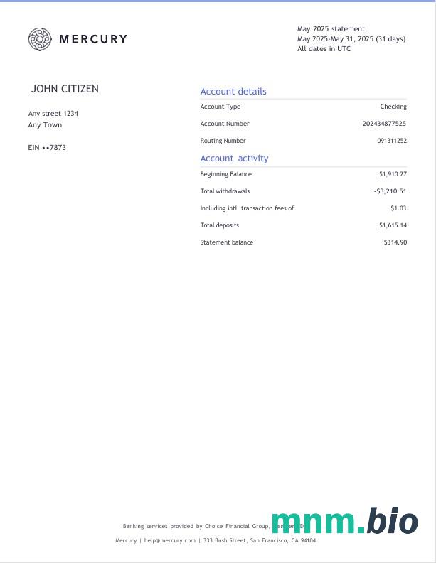 Szablon wyciągu bankowego USA Bluebird w programie Word i PDF